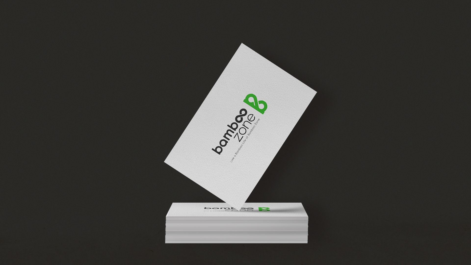 Branding, logo, and identity design of Bamboozone.