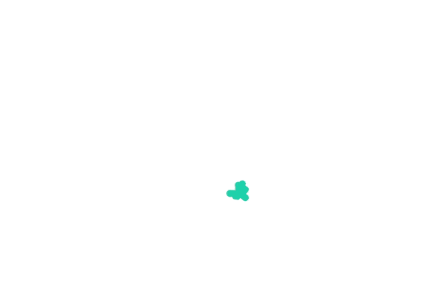 FMI Logo Reveal